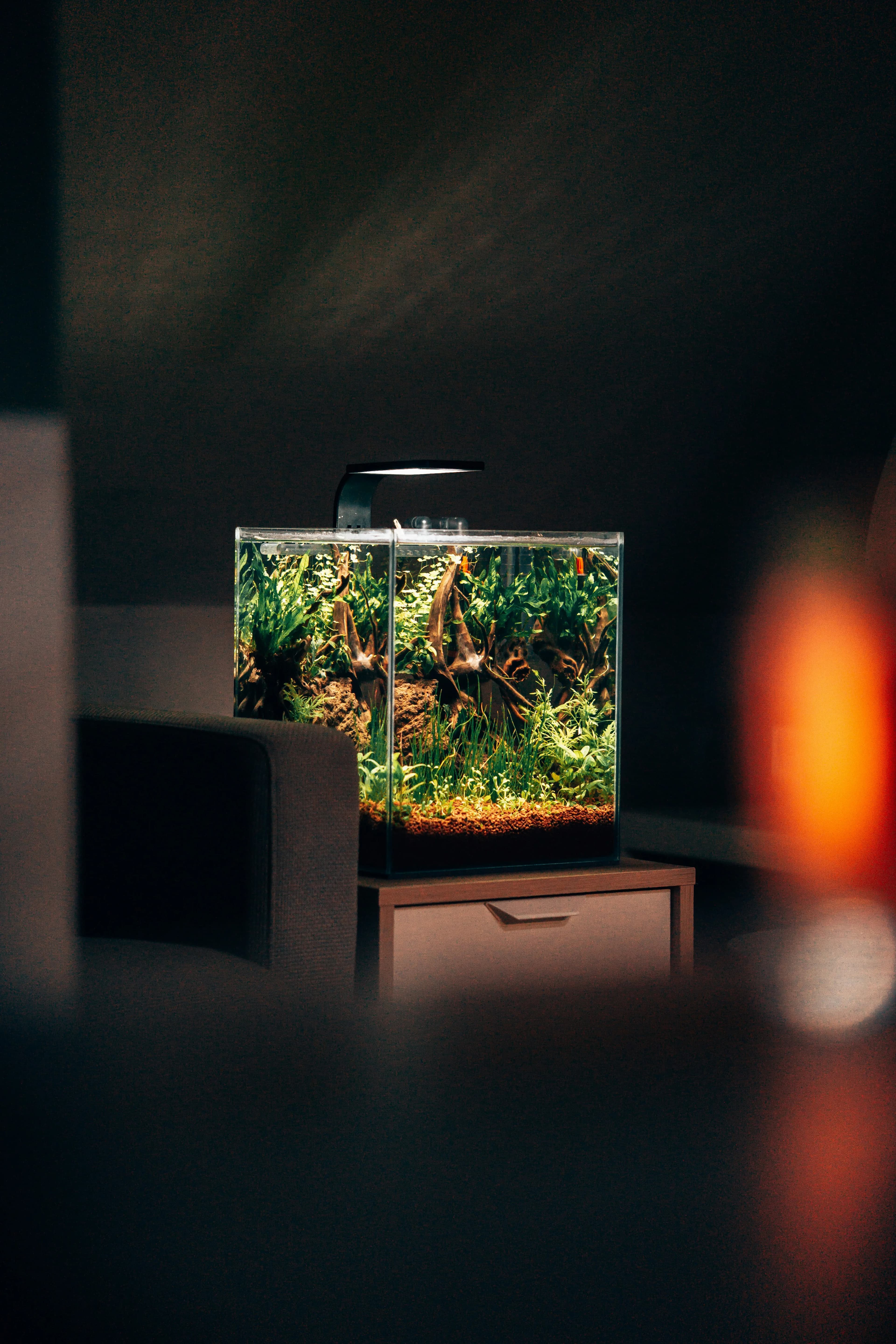 A small planted nano aquarium glowing in a dark room