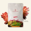 APT Jazz by 2HR Aquarist