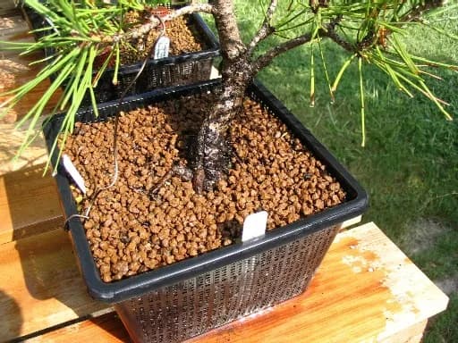 Various (Japanese bonsai brands) Akadama (DIY Japanese clay) product photo