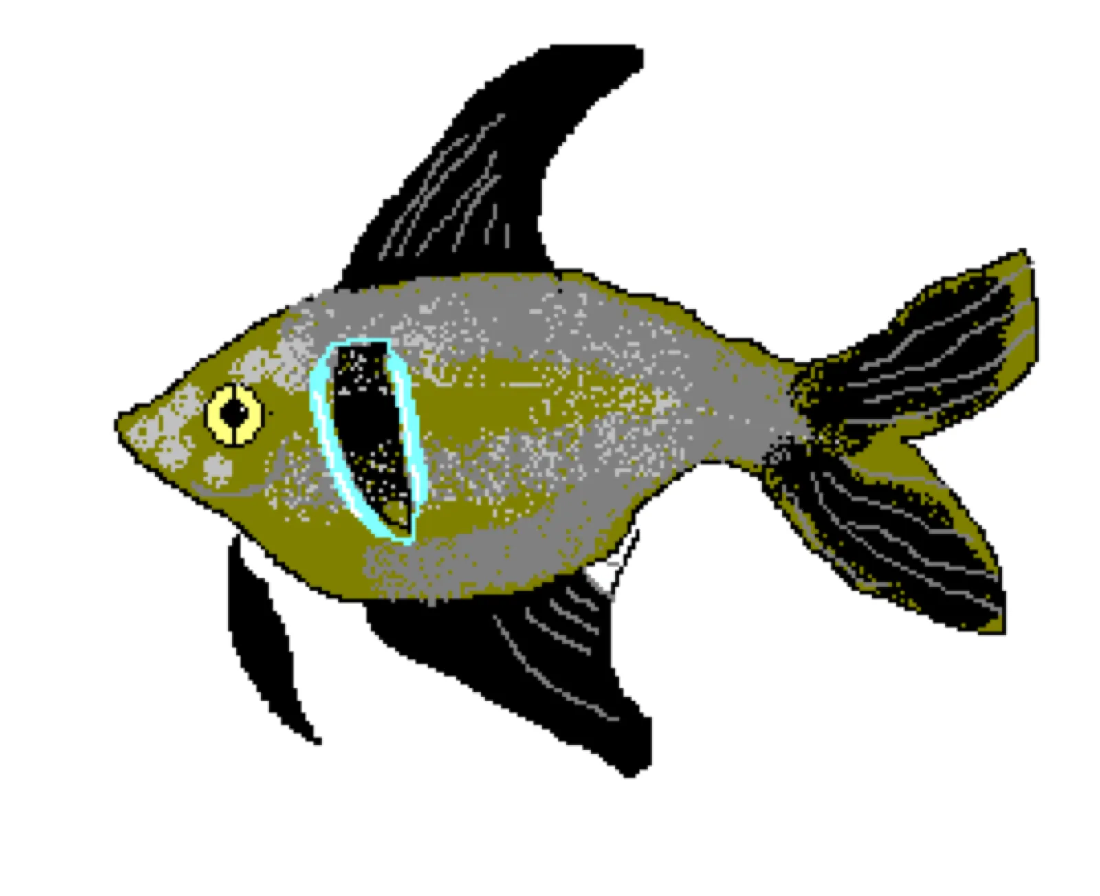 Black Phantom Tetra (Hyphessobrycon megalopterus)