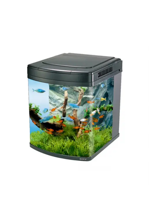 Boyu Happy Family Aquarium