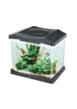 Boyu Mia LED Aquarium (DSN-315)