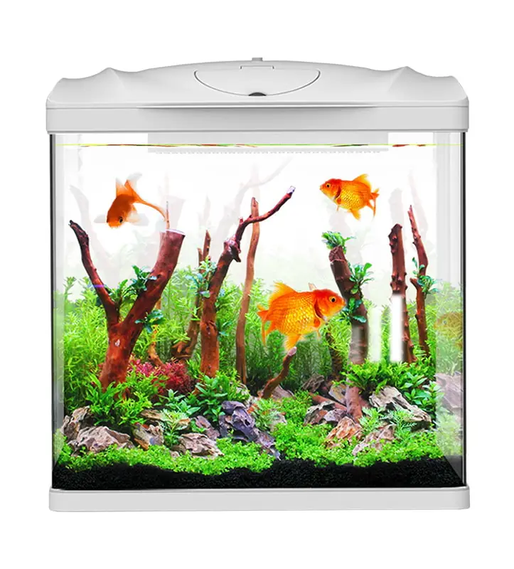 SunSun HR Series Desktop Aquarium
