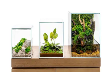 UNS Prism Glass Tank with Flush Lid