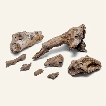 UNS Accent Driftwood