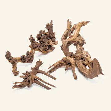 UNS Amazon Wood