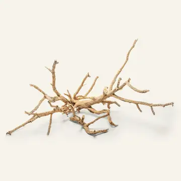 UNS Cholla Driftwood Tree