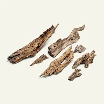 UNS Forest Driftwood