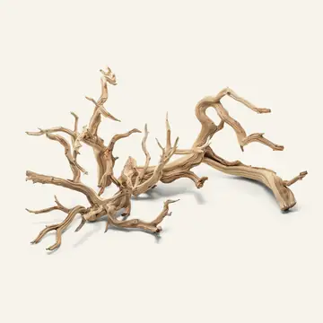 UNS Ghost Wood