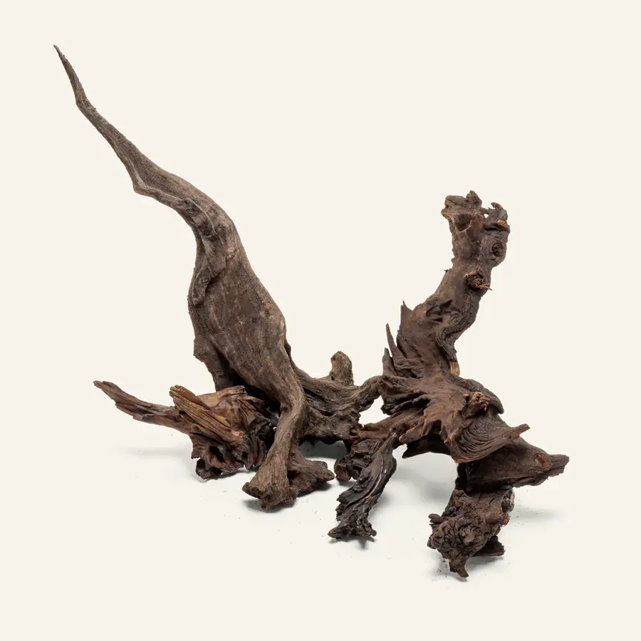 UNS Malaysian Driftwood