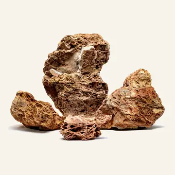 UNS Maple Stone