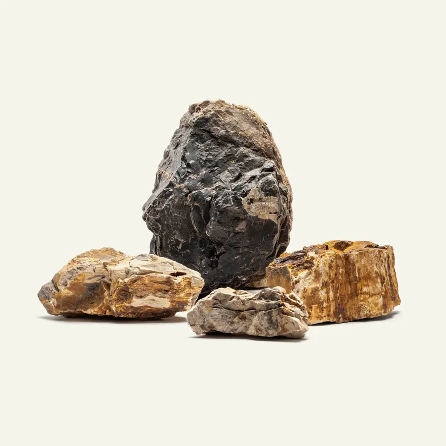 UNS Petrified Wood Stone
