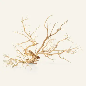 UNS Sandblasted Manzanita Driftwood