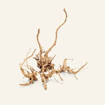 UNS Spider Wood