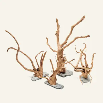 UNS Spider Wood on Slate Stone