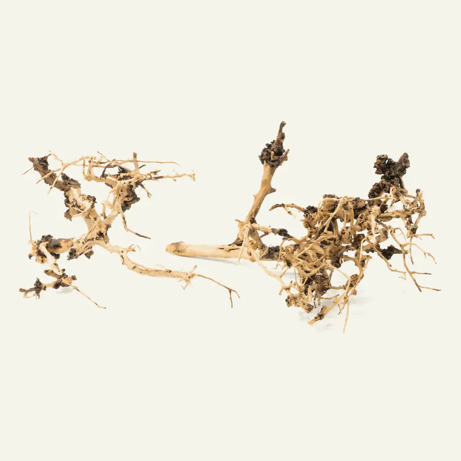 UNS Tree Branch Driftwood